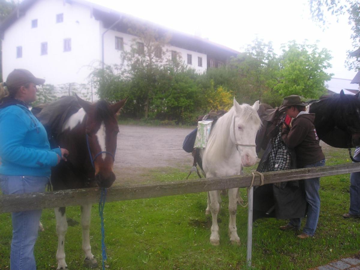 Gasthaus Zum Spaeth Englmannsberg 外观 照片